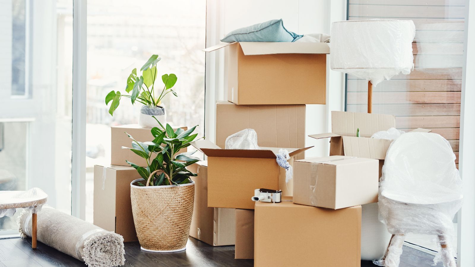 Professional local movers San Mateo carefully handling household items.